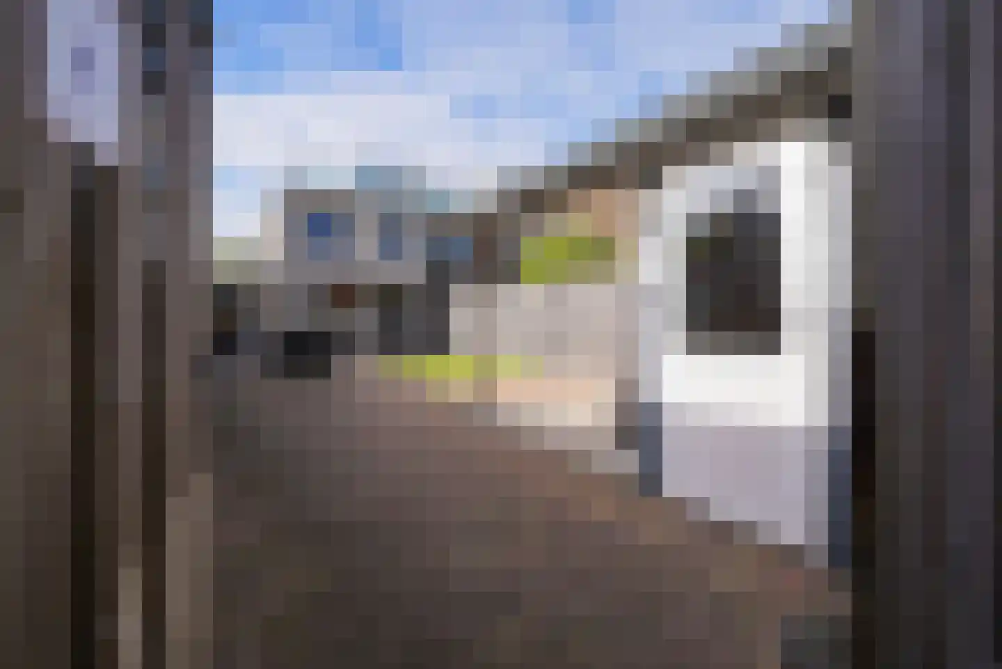 Fluitekruidstraat 57 Goes thumbnail 30