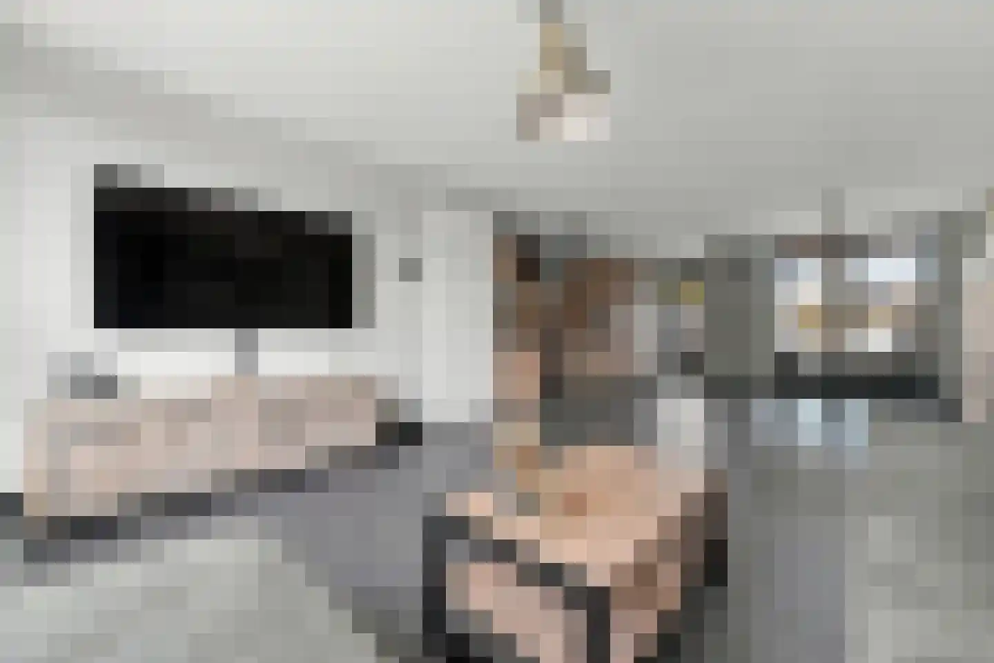 Fluitekruidstraat 57 Goes thumbnail 7