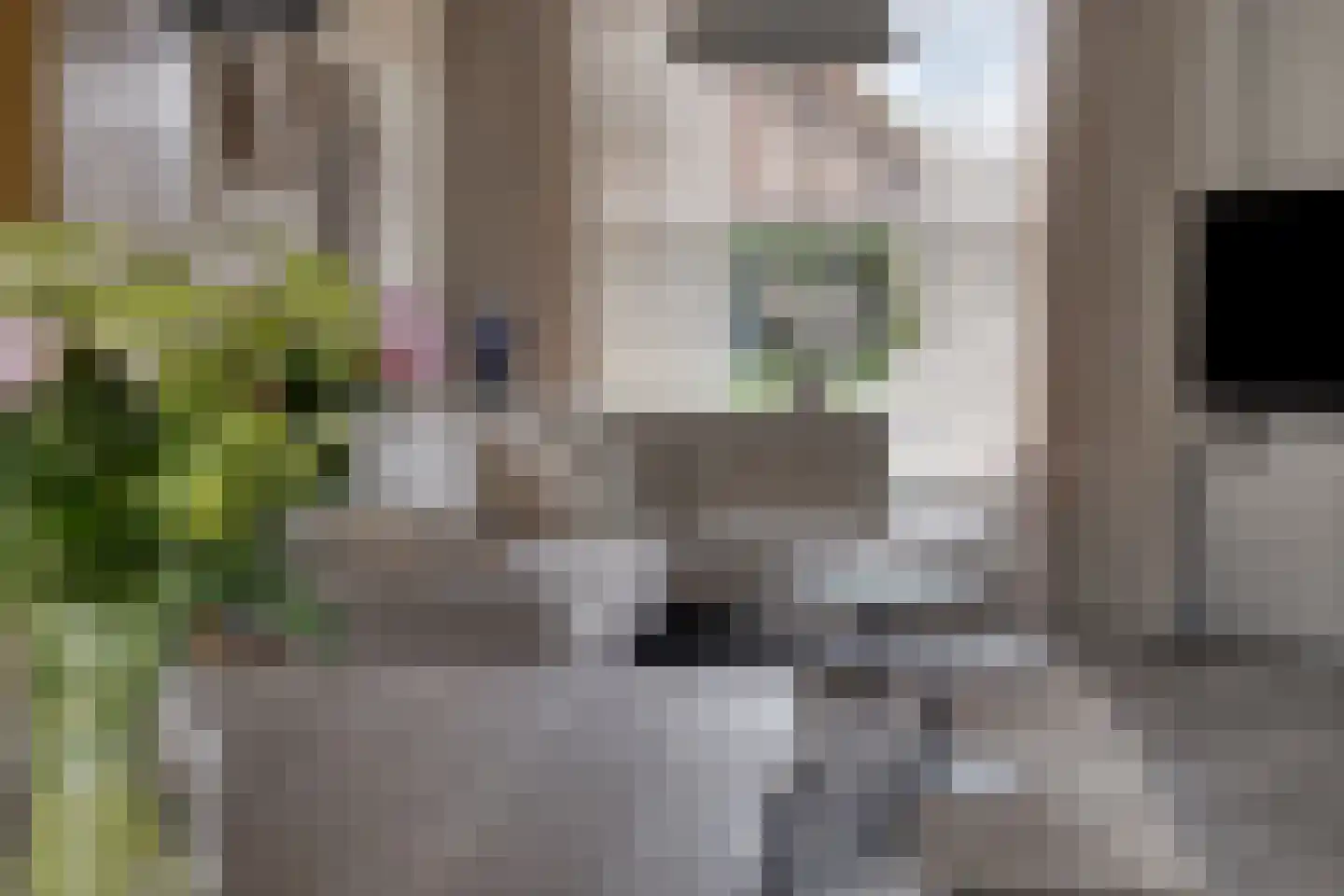 Fluitekruidstraat 84 Goes thumbnail 12