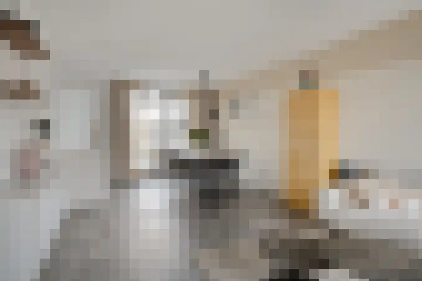 Fluitekruidstraat 84 Goes thumbnail 13