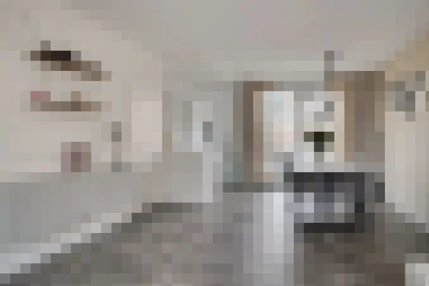 Fluitekruidstraat 84 Goes thumbnail 14
