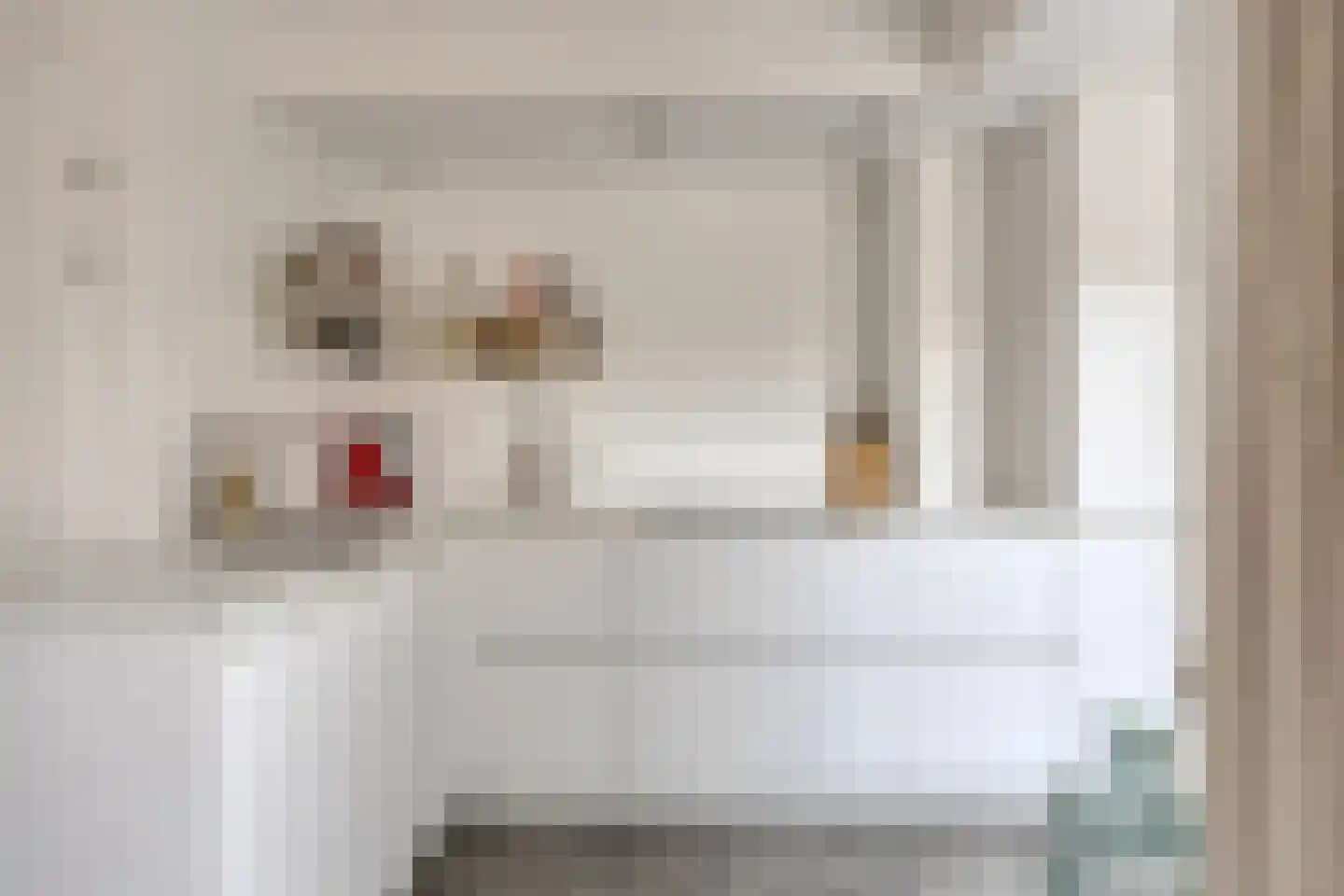 Fluitekruidstraat 84 Goes thumbnail 18