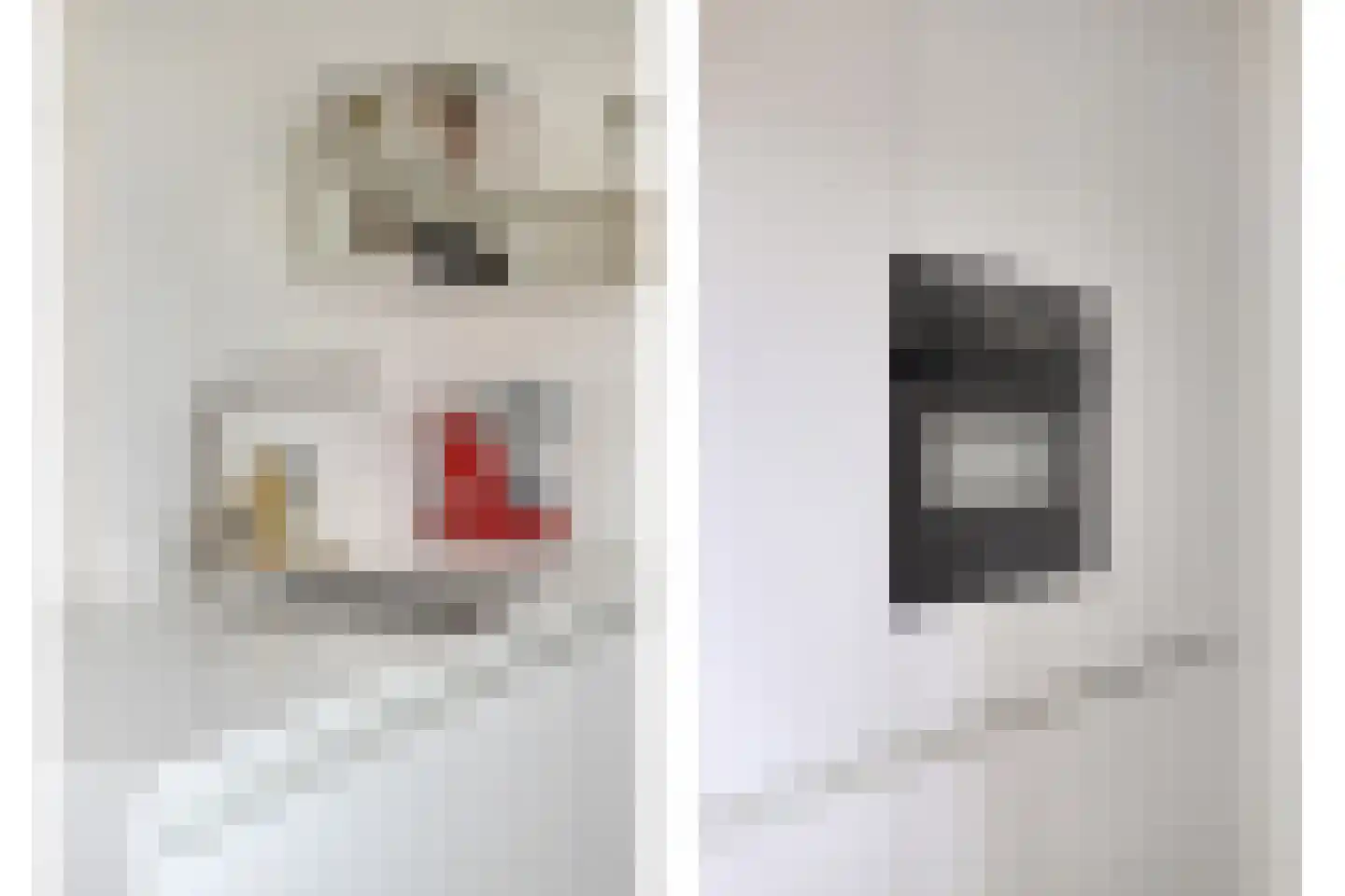 Fluitekruidstraat 84 Goes thumbnail 19