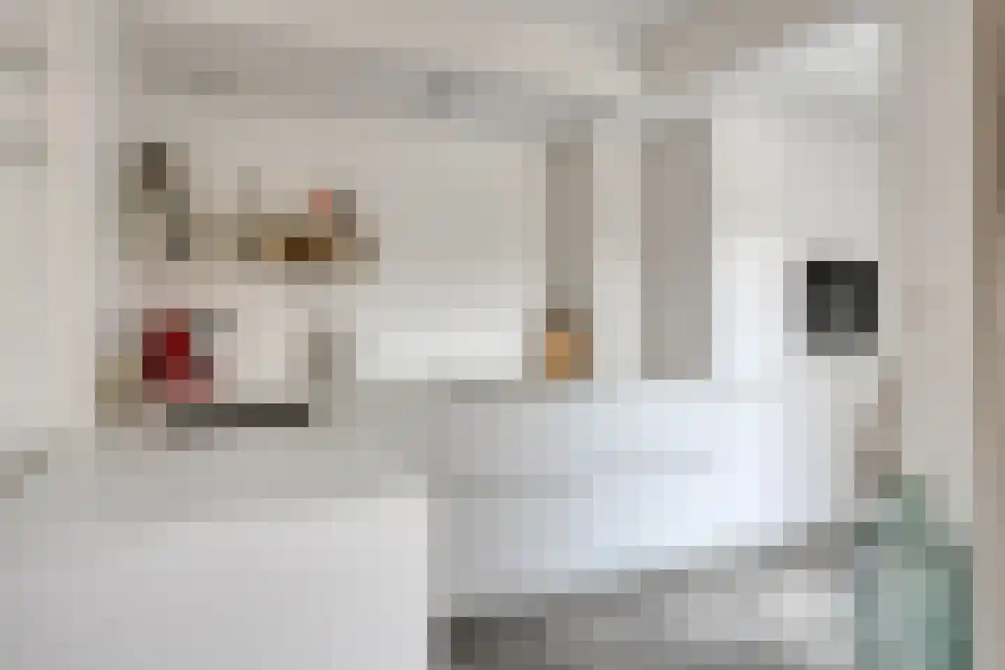 Fluitekruidstraat 84 Goes thumbnail 20