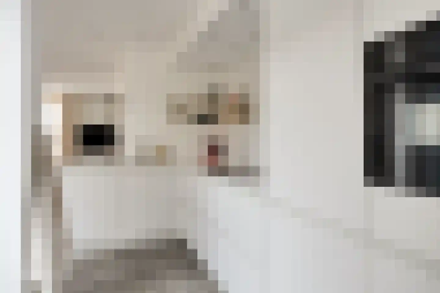 Fluitekruidstraat 84 Goes thumbnail 23