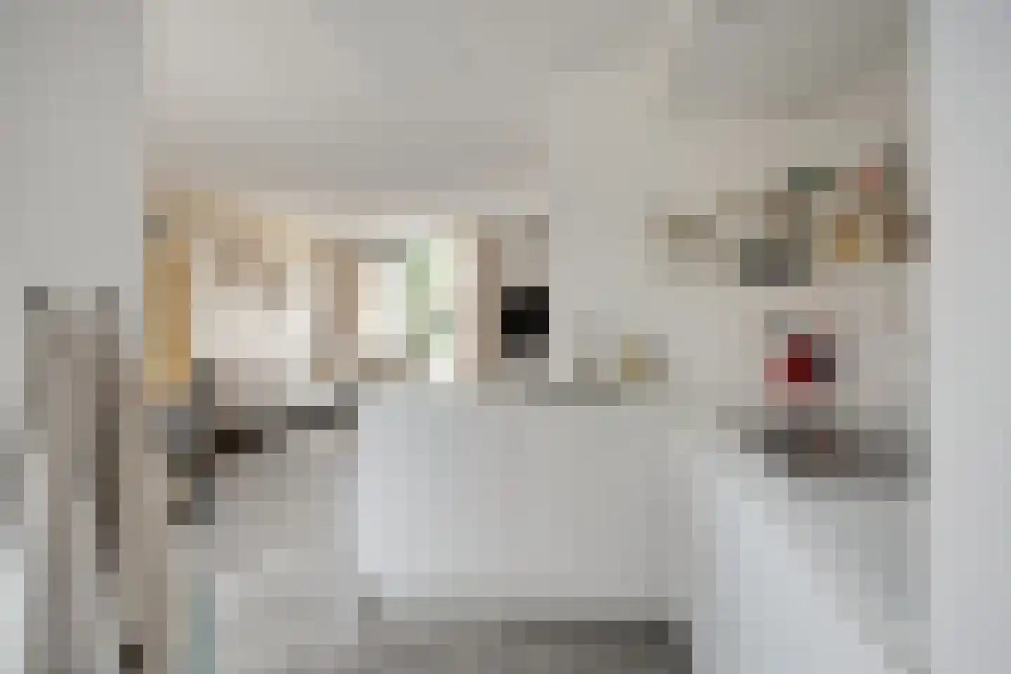 Fluitekruidstraat 84 Goes thumbnail 24