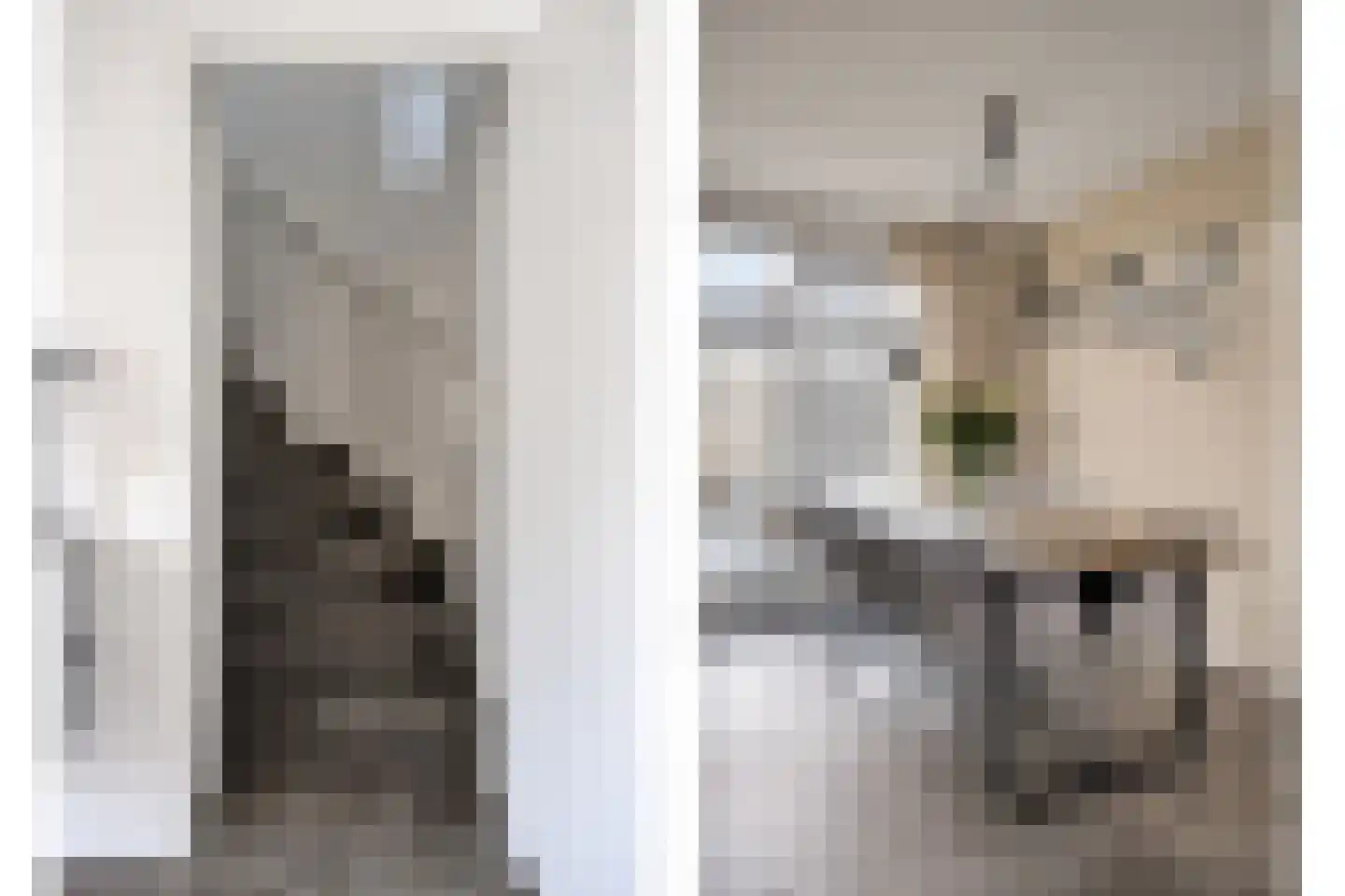 Fluitekruidstraat 84 Goes thumbnail 25