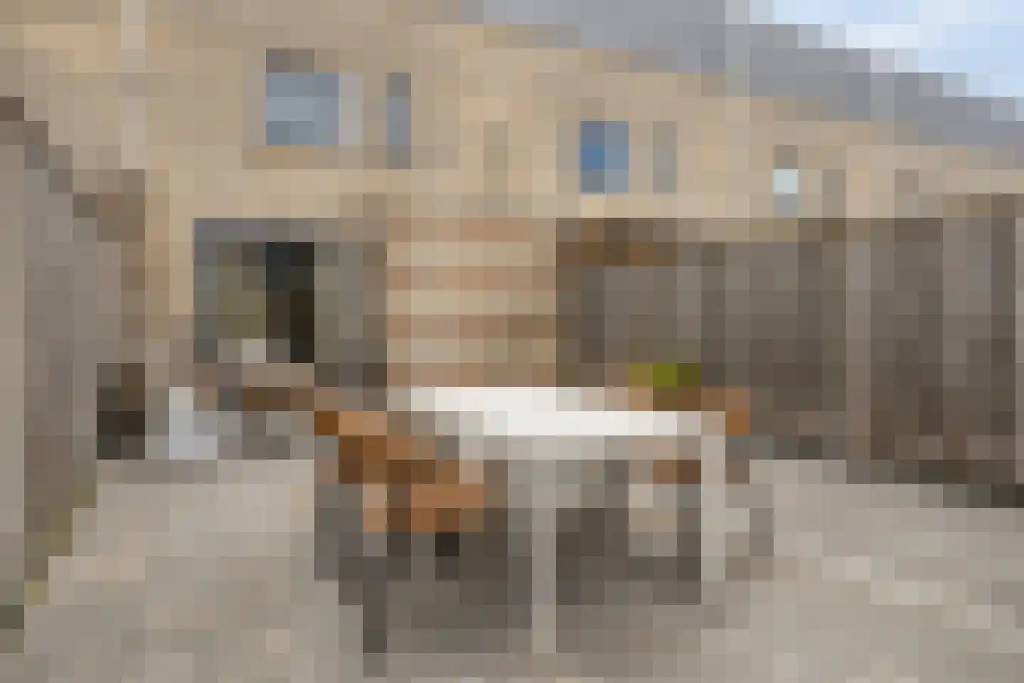 Fluitekruidstraat 84 Goes thumbnail 47