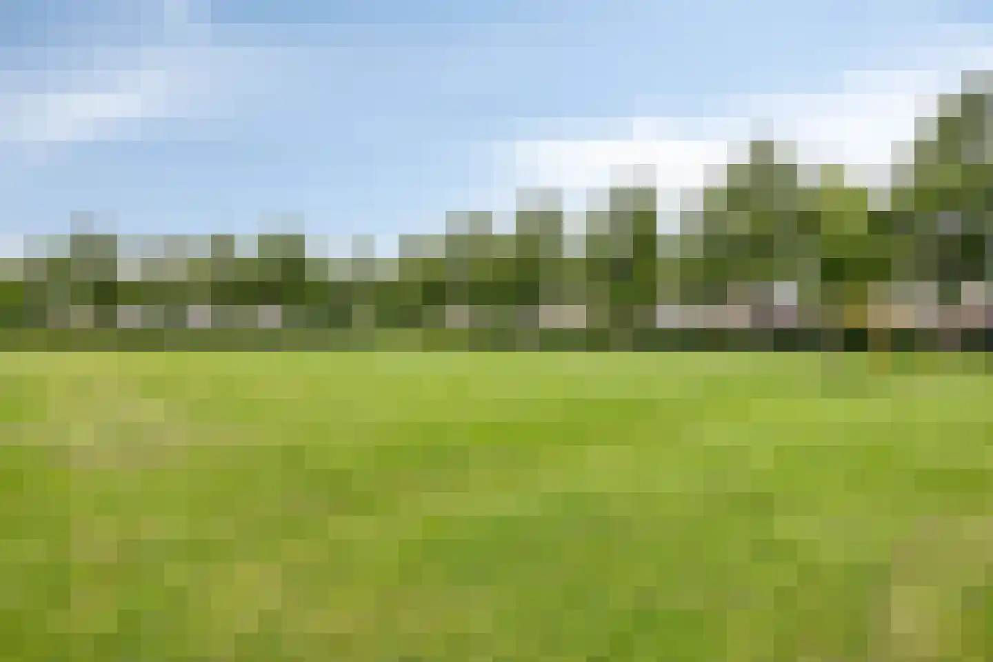 Fluitekruidstraat 84 Goes thumbnail 50