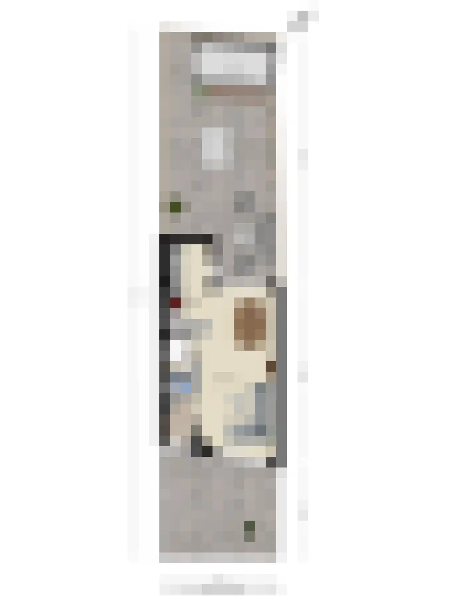 Fluitekruidstraat 84 Goes thumbnail 53