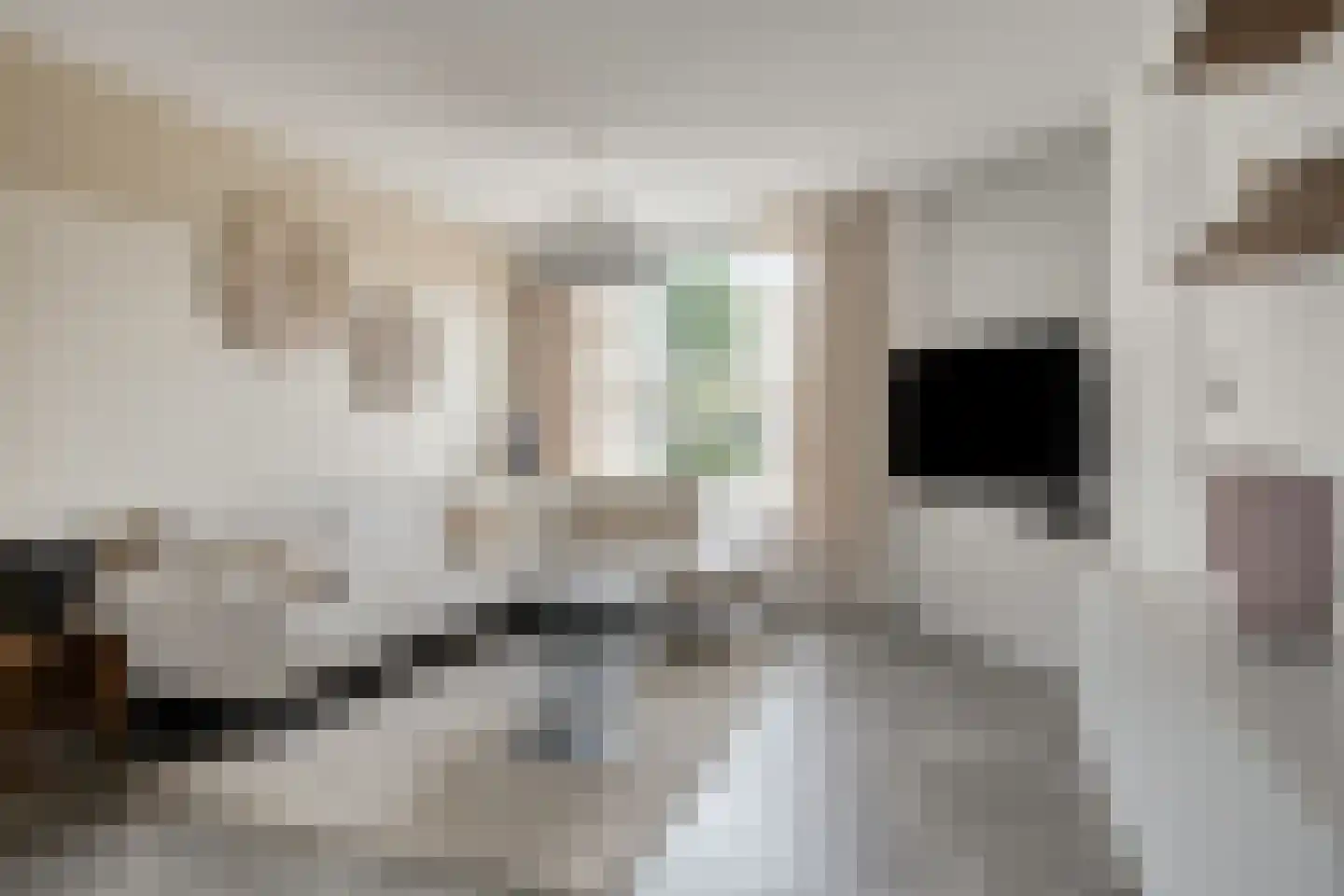 Fluitekruidstraat 84 Goes thumbnail 8