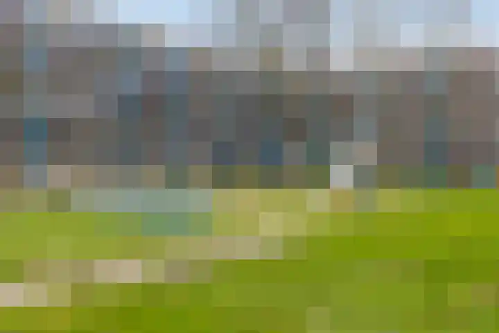 Fluitekruidweg 106 Zaandam thumbnail 28