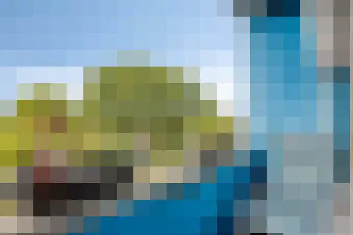 Fluitekruidweg 117 Zaandam thumbnail 18