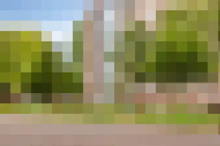 Fluitekruidweg 117 Zaandam thumbnail 22
