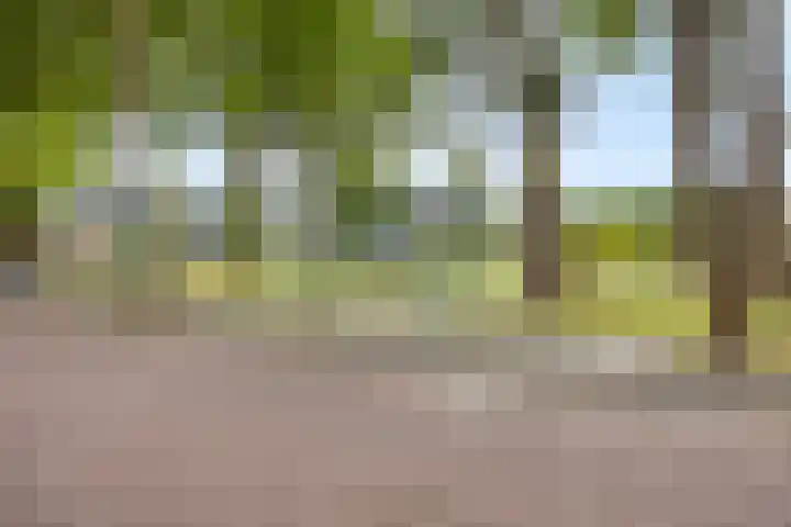 Fluitekruidweg 117 Zaandam thumbnail 23