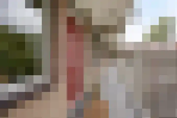 Fluitekruidweg 117 Zaandam thumbnail 8