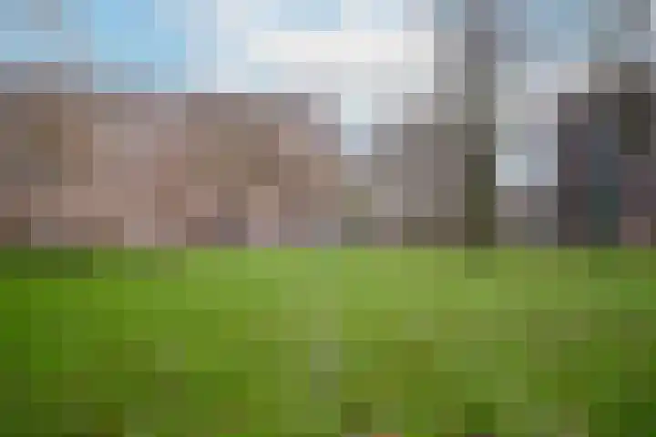 Fluitekruidweg 132 Zaandam thumbnail 32