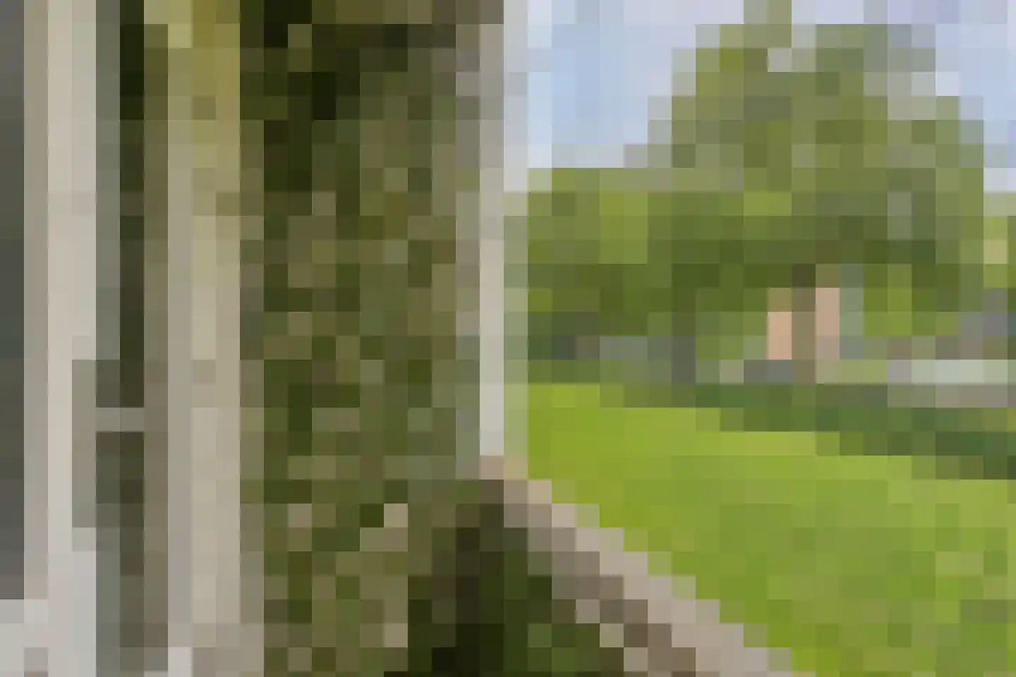 Fluitekruidweg 139 Zaandam thumbnail 23