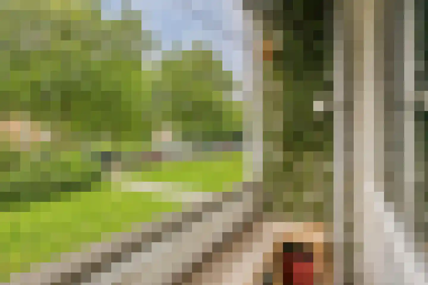 Fluitekruidweg 139 Zaandam thumbnail 24