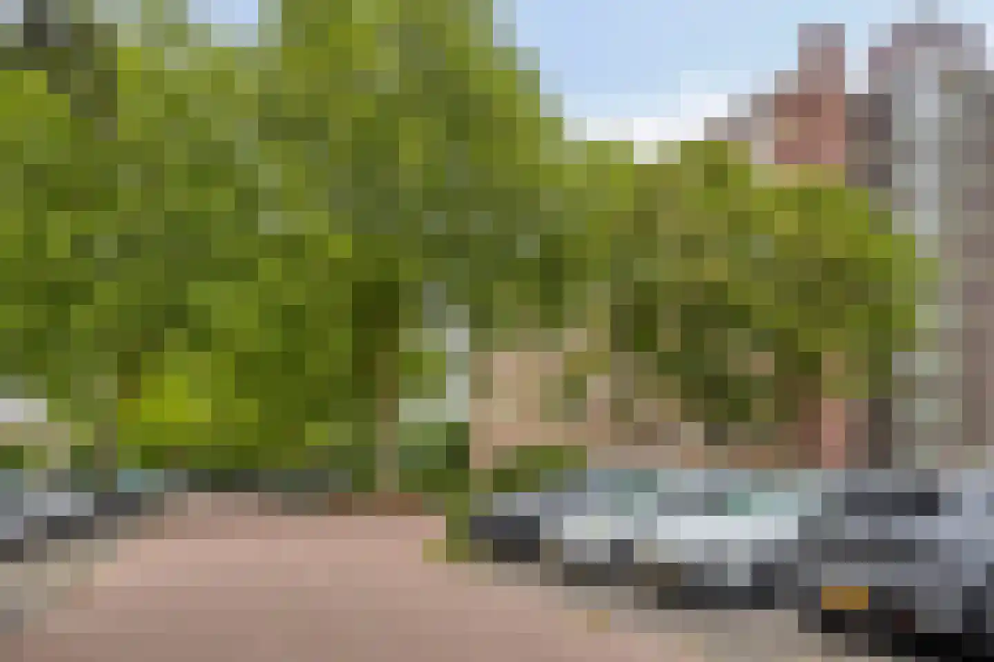 Fluitekruidweg 139 Zaandam thumbnail 29
