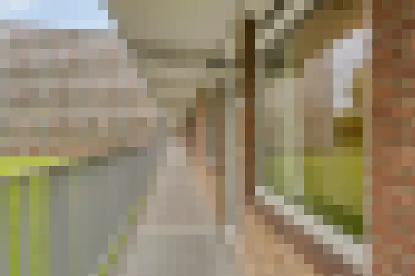 Fluitekruidweg 139 Zaandam thumbnail 32