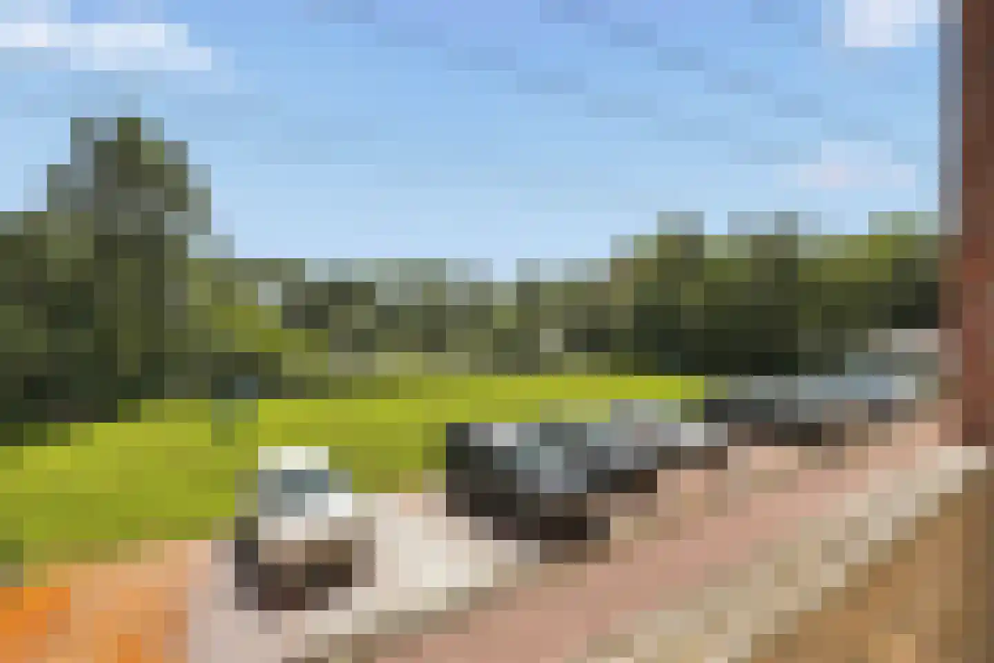 Fluitekruidweg 157 Zaandam thumbnail 23