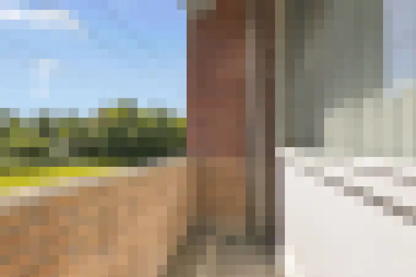 Fluitekruidweg 157 Zaandam thumbnail 5