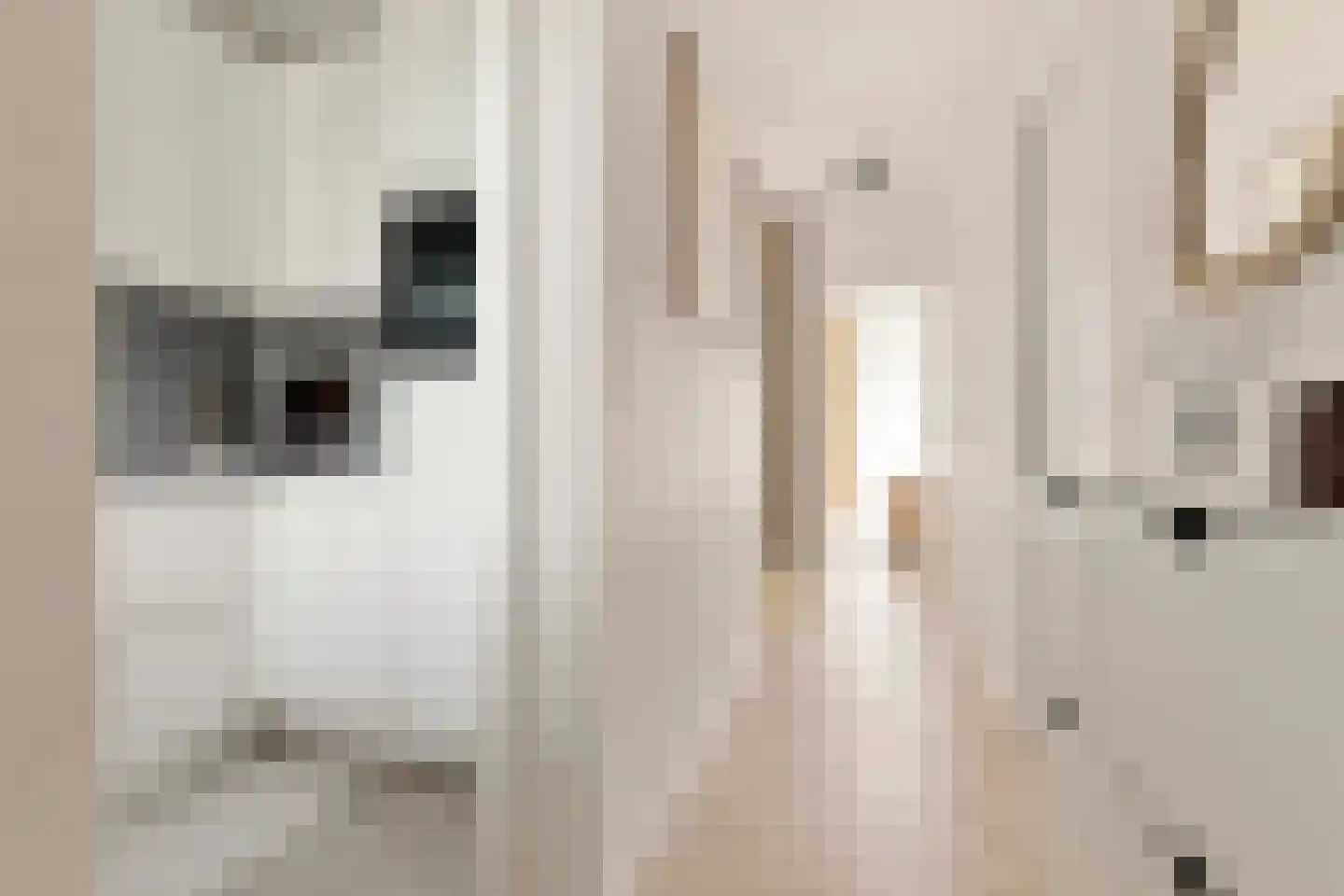 Fluitekruidweg 157 Zaandam thumbnail 9