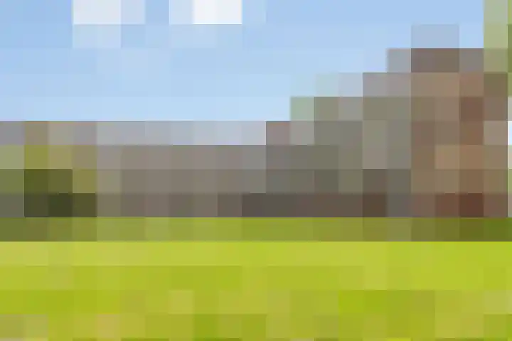 Fluitekruidweg 160 Zaandam thumbnail 24