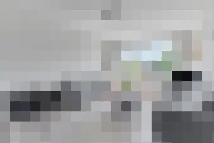 Fluitekruidweg 160 Zaandam thumbnail 6