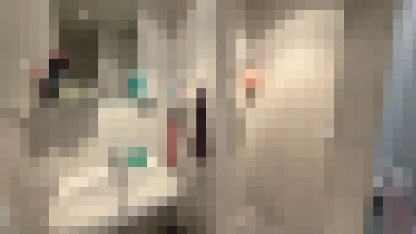 Fluitekruidweg 160 Zaandam thumbnail 7
