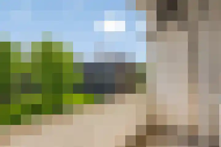 Fluitekruidweg 160 Zaandam thumbnail 8