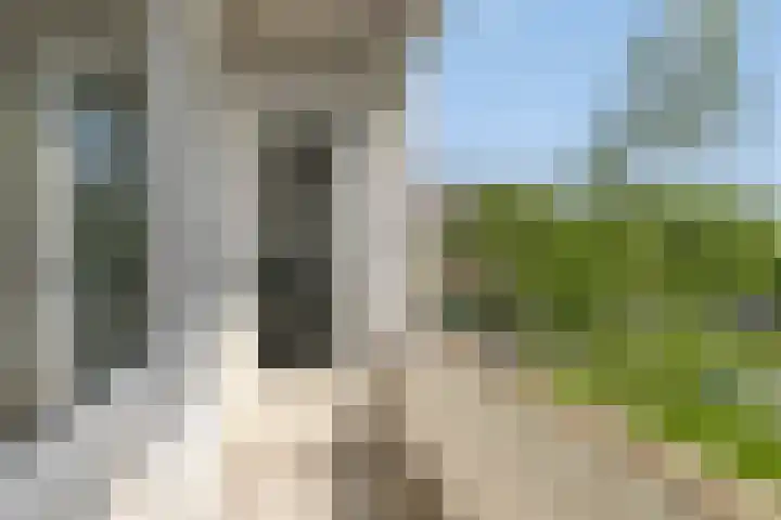 Fluitekruidweg 160 Zaandam thumbnail 9