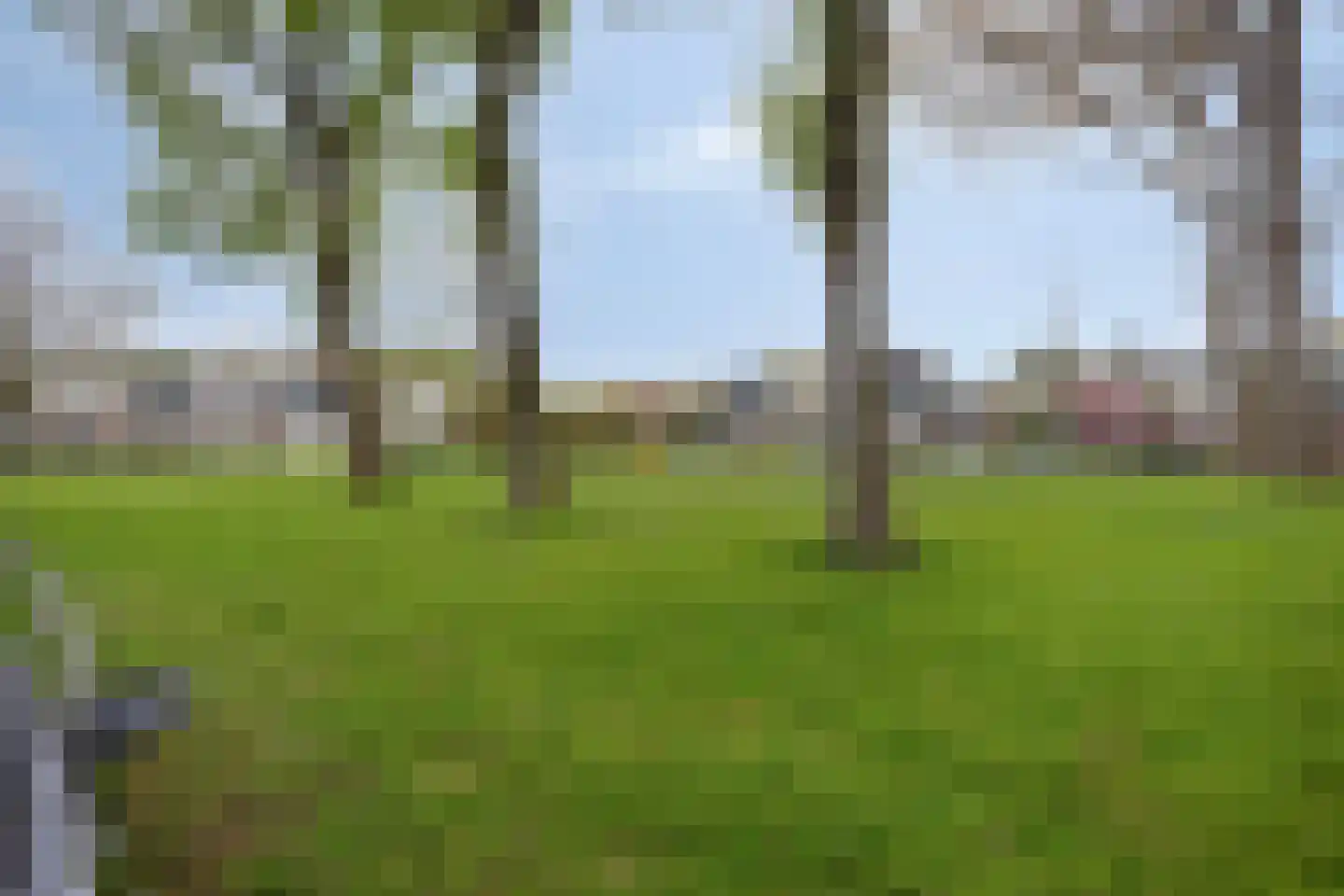 Fluitekruidweg 17 Zaandam thumbnail 32