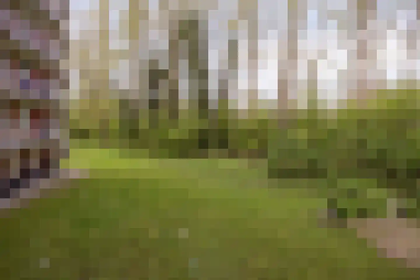 Fluitekruidweg 17 Zaandam thumbnail 35