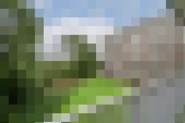 Fluitekruidweg 189 Zaandam thumbnail 11