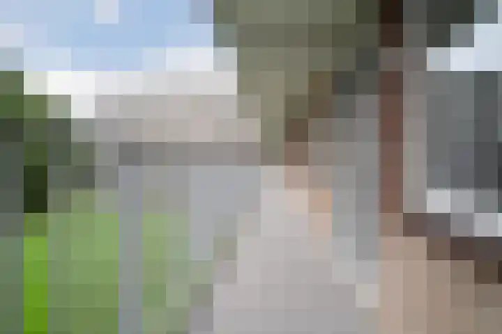 Fluitekruidweg 189 Zaandam thumbnail 12