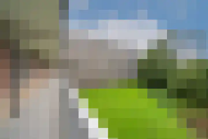 Fluitekruidweg 189 Zaandam thumbnail 4