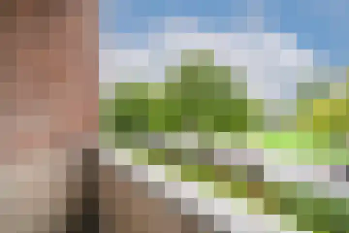 Fluitekruidweg 189 Zaandam thumbnail 49