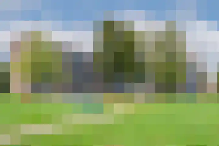 Fluitekruidweg 189 Zaandam thumbnail 5