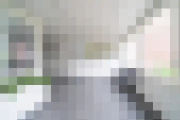 Fluitekruidweg 189 Zaandam thumbnail 7
