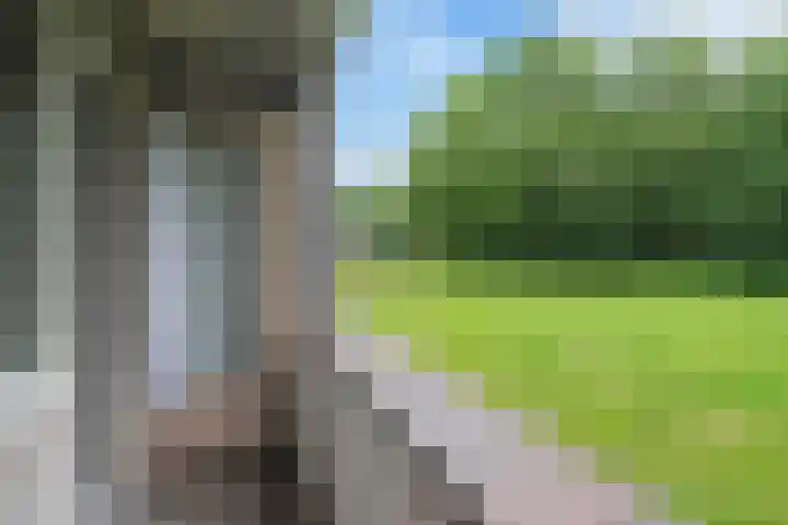 Fluitekruidweg 190 Zaandam thumbnail 11