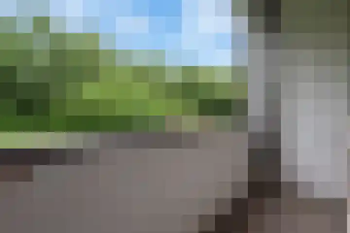 Fluitekruidweg 190 Zaandam thumbnail 12