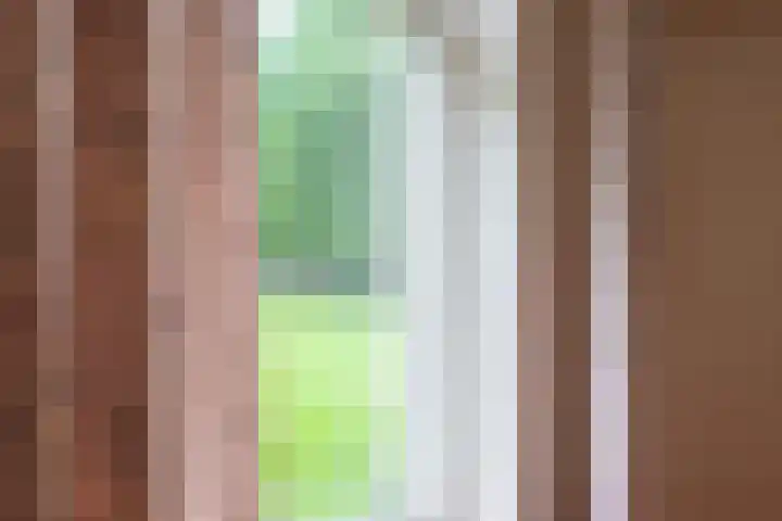 Fluitekruidweg 190 Zaandam thumbnail 17