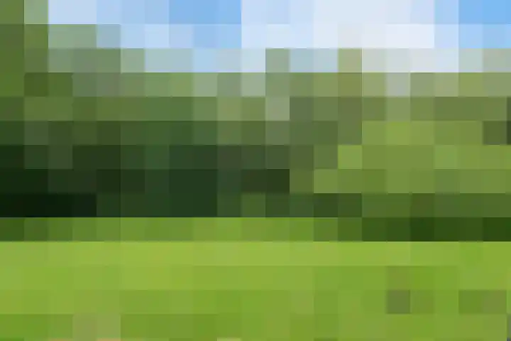 Fluitekruidweg 190 Zaandam thumbnail 32