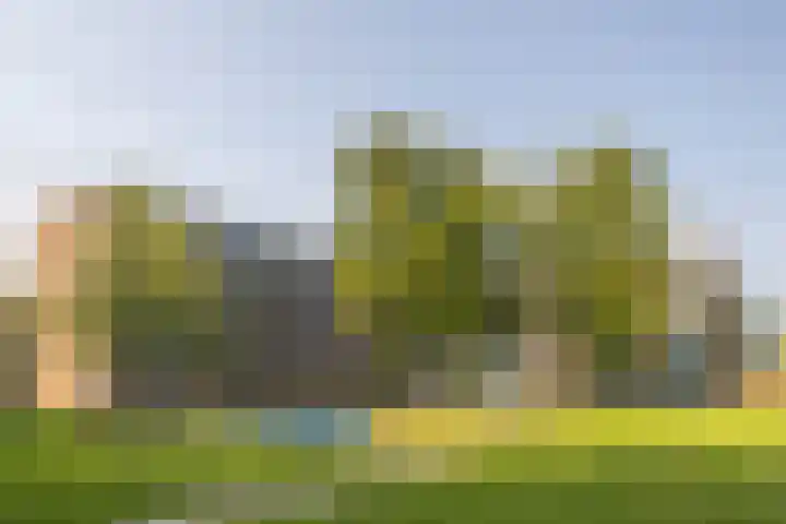 Fluitekruidweg 202 in Zaandam