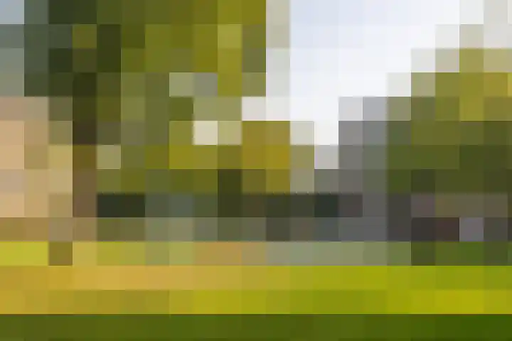 Fluitekruidweg 202 Zaandam thumbnail 18