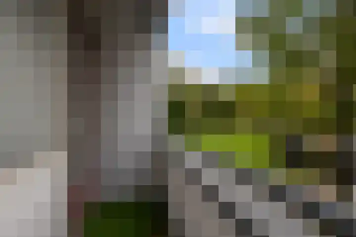 Fluitekruidweg 21 Zaandam thumbnail 21