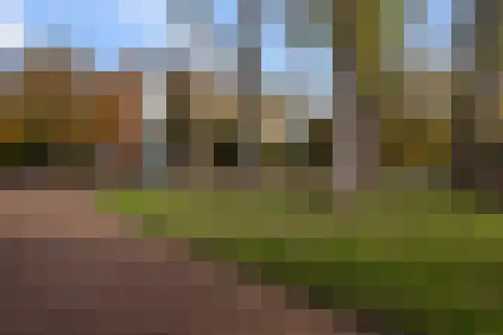 Fluitekruidweg 21 Zaandam thumbnail 26