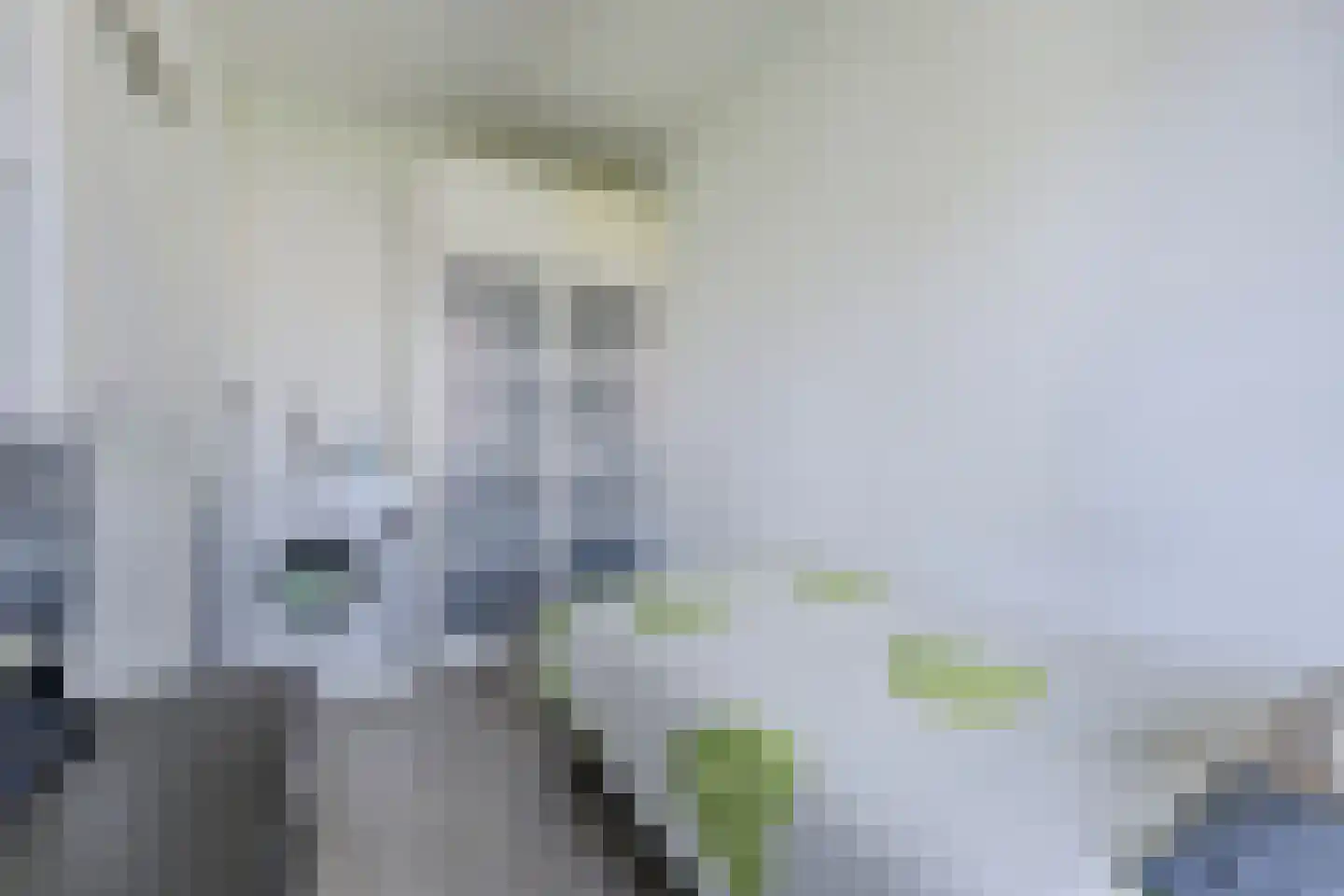 Fluitekruidweg 222 Zaandam thumbnail 18